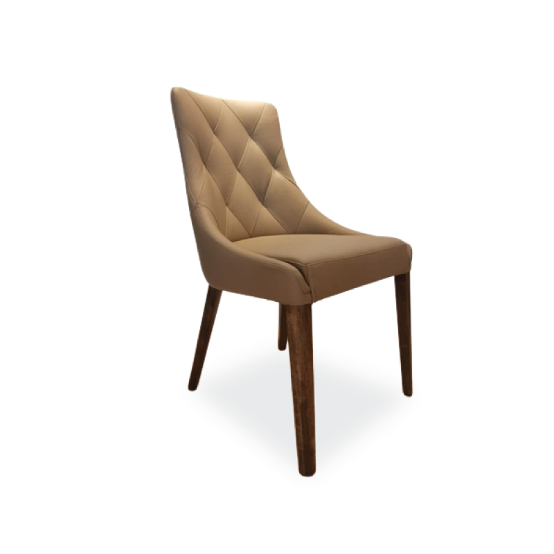Modern Dining Chair